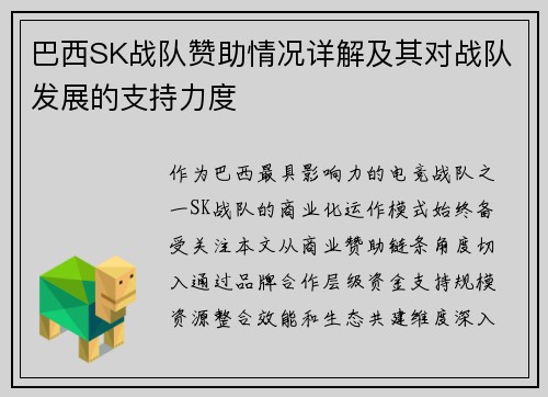 巴西SK战队赞助情况详解及其对战队发展的支持力度