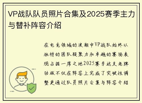 VP战队队员照片合集及2025赛季主力与替补阵容介绍